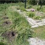 Признать останки царскими или не признать